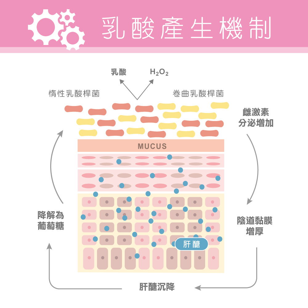 乳酸產生機制